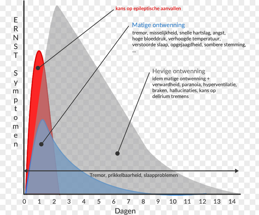 Angle Triangle Diagram PNG