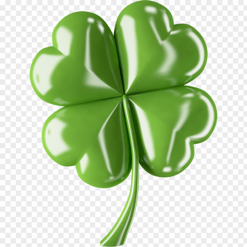 Clover Four-leaf Photography Shamrock PNG