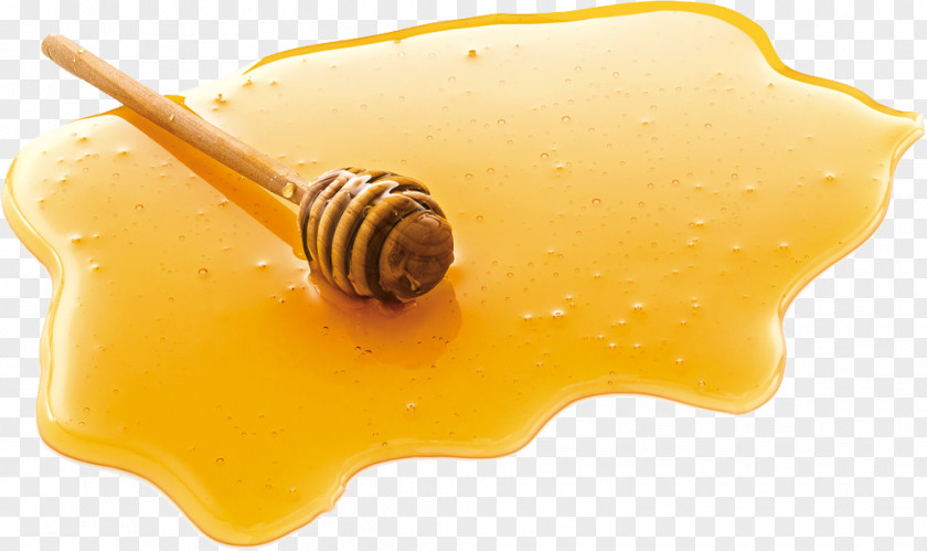 Honey Sweetness Clip Art PNG
