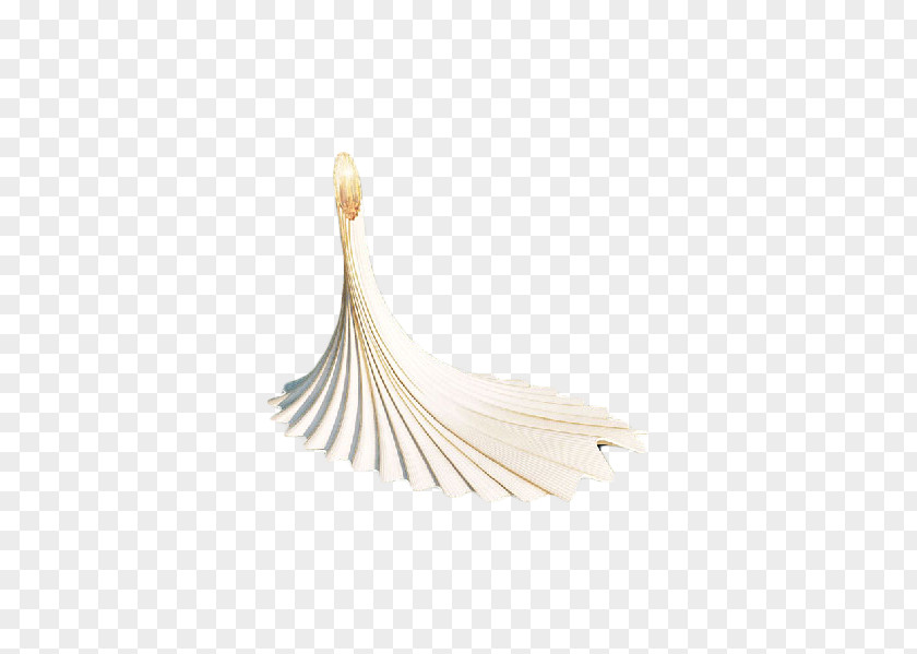 Jewellery PNG