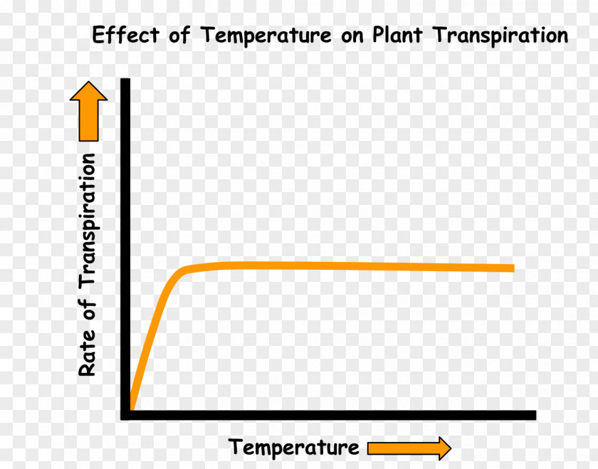 Water Transpiration Soil Temperature Stoma PNG