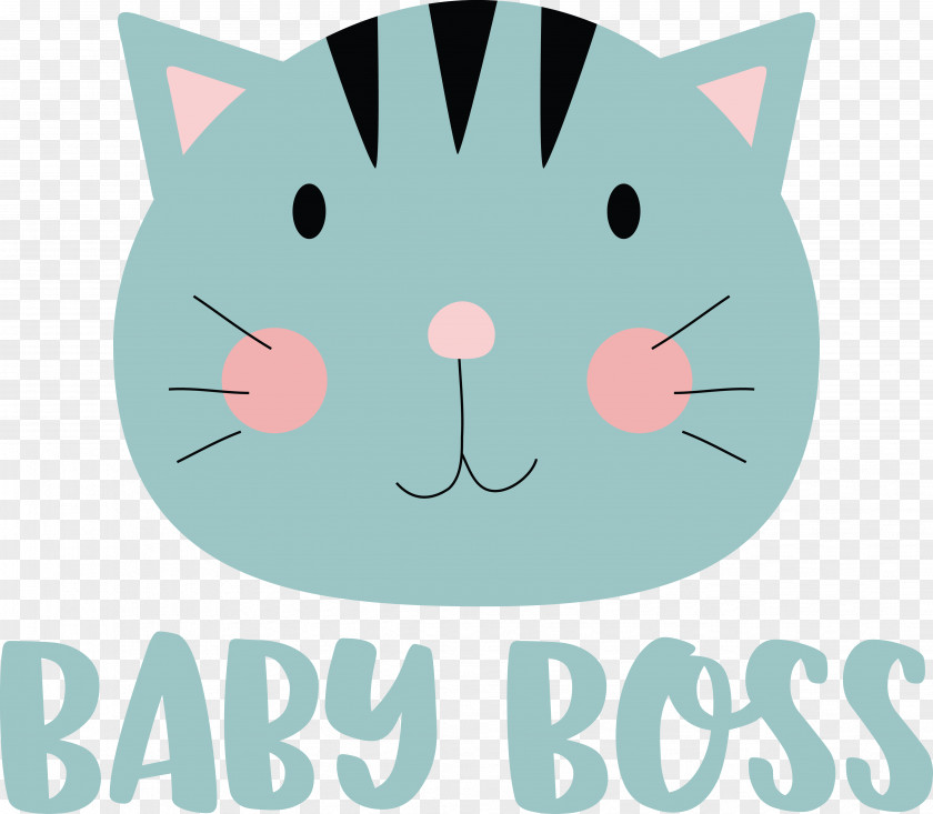 Cat Kitten Small Snout Whiskers PNG