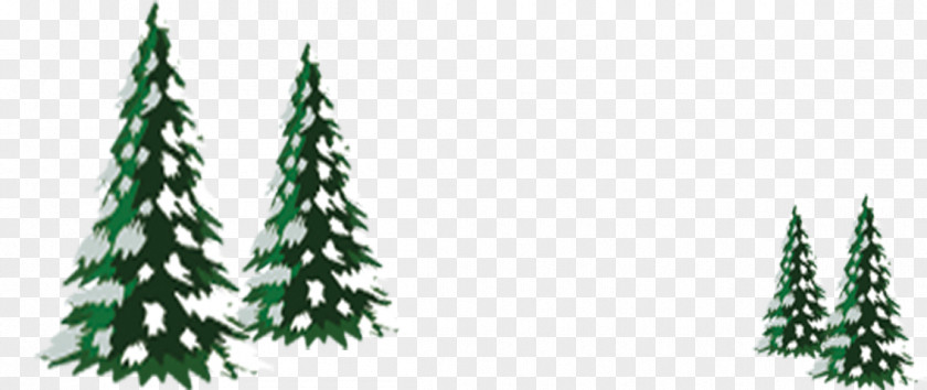 Christmas Trees And More Tree Ornament PNG