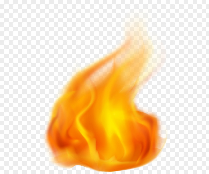 Durian 12 0 1 Flame Bonfire Clip Art PNG