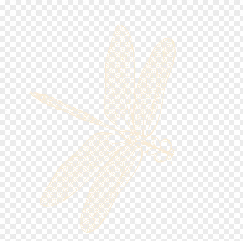 Hand-painted Dragonfly Angle Pattern PNG
