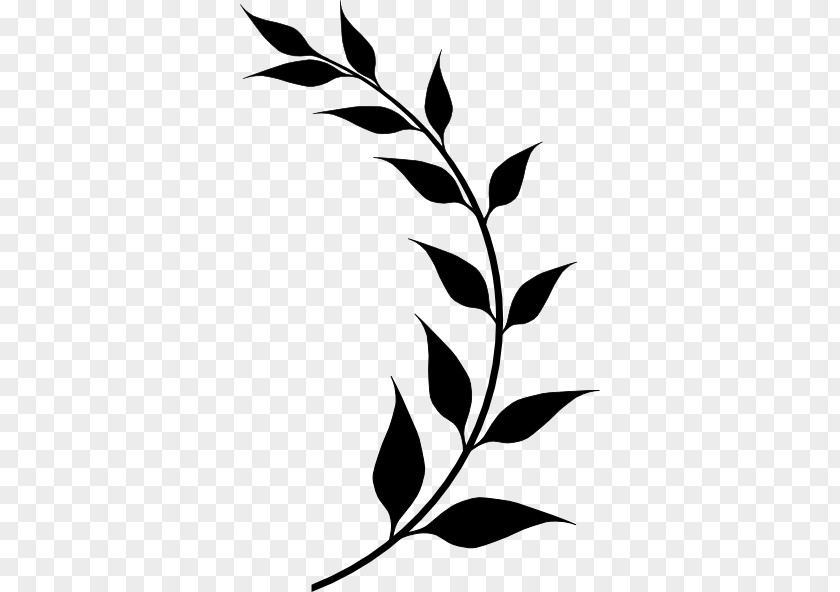 Leaf Laurel Wreath Bay Olive Clip Art PNG