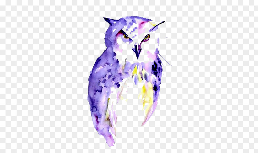 Owl Watercolor Painting Art Drawing PNG