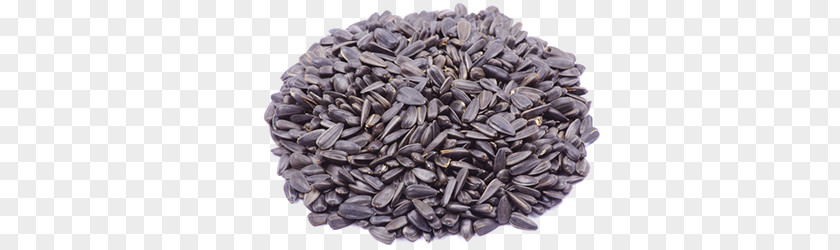 Sunflower Oil Common Seed PNG
