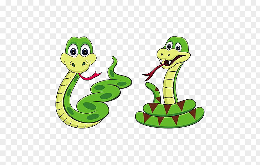 Two Green Snakes Snake Drawing Clip Art PNG