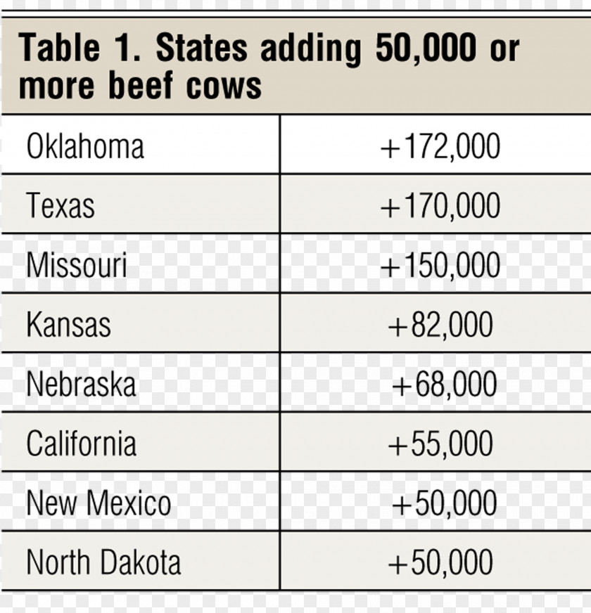 Cowherd Beef Cattle Paper Document Angle PNG