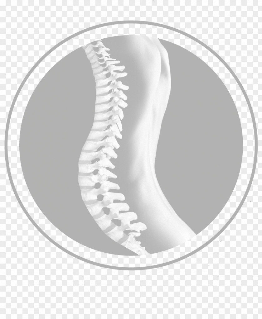 Dr Med Jochen Schuster Dr. Med. Florian Maria Alfen Dr.med. Facharzt Für Orthopädie Vertebral Column Intervertebral Disc Human Back PNG