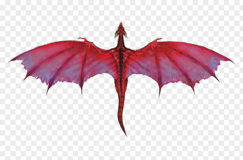 Dungeons And Dragons Chinese Dragon Wyvern Chromatic PNG