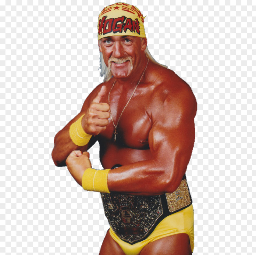 Hulk Hogan WCW World Heavyweight Championship Wrestling Professional Wrestler PNG