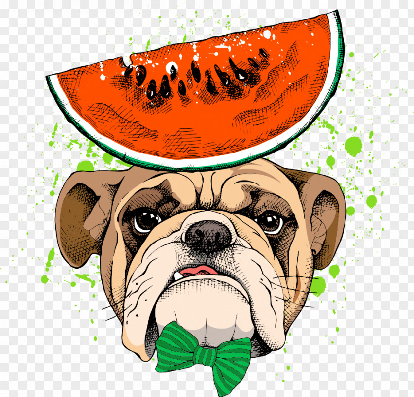 Pug Vector Watermelon Pet PNG