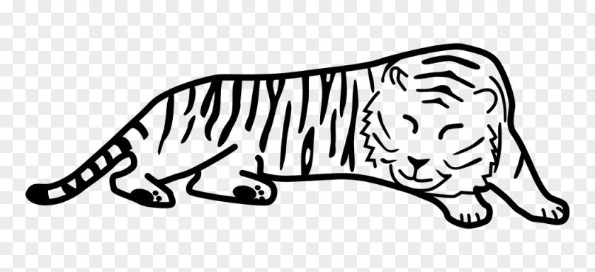 Tiger Black Cat Drawing Clip Art PNG