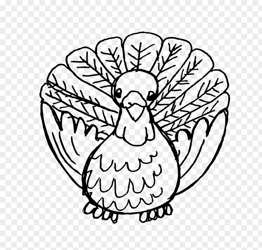 Turkish Vector Black Turkey Broad Breasted White Meat Clip Art PNG