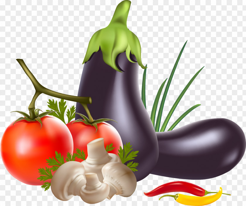 Vegetable Vector Graphics Indian Cuisine Chili Pepper Vegetarian PNG