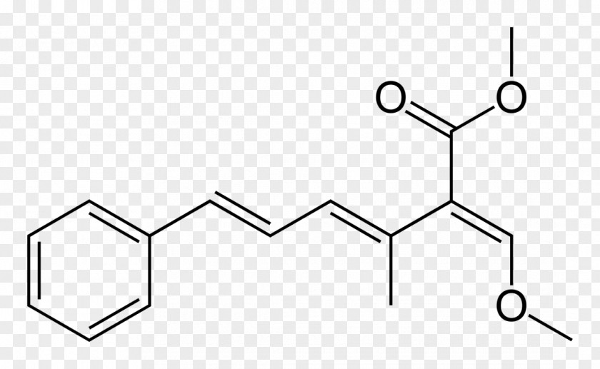 Amino Acid Organic Chemistry Benzoic PNG