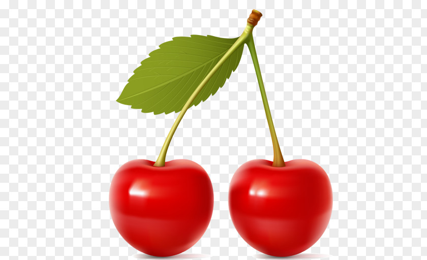 Cherry Pie Clip Art PNG