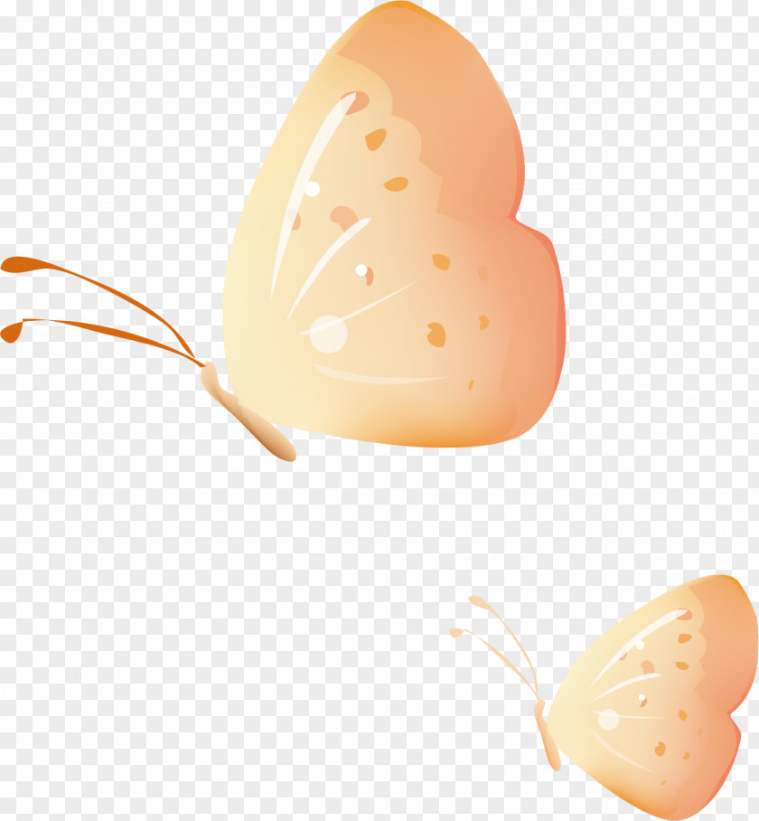 Creative Butterfly Egg PNG