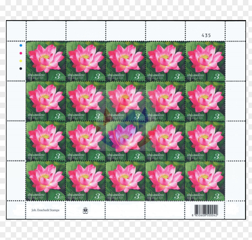 Design Azalea Rose Family Floral Pattern PNG