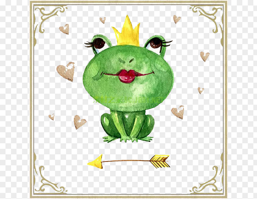 Frog With Crown American Bullfrog T-shirt Cuteness PNG
