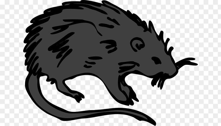 Mouse Brown Rat Clip Art Rodent Laboratory PNG