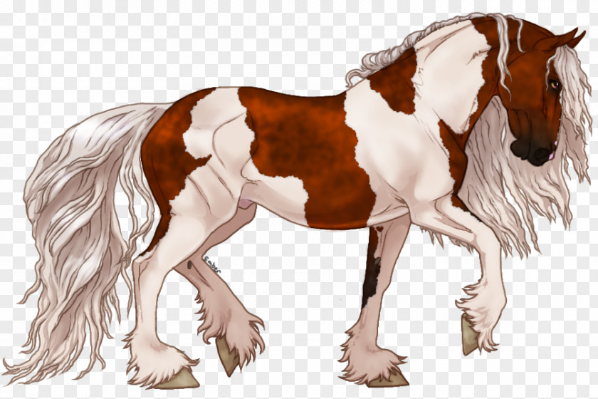 Mustang Friesian Horse Mane Stallion Pony PNG