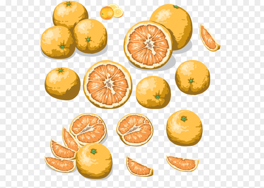 Orange Clementine Tangerine Mandarin Food PNG
