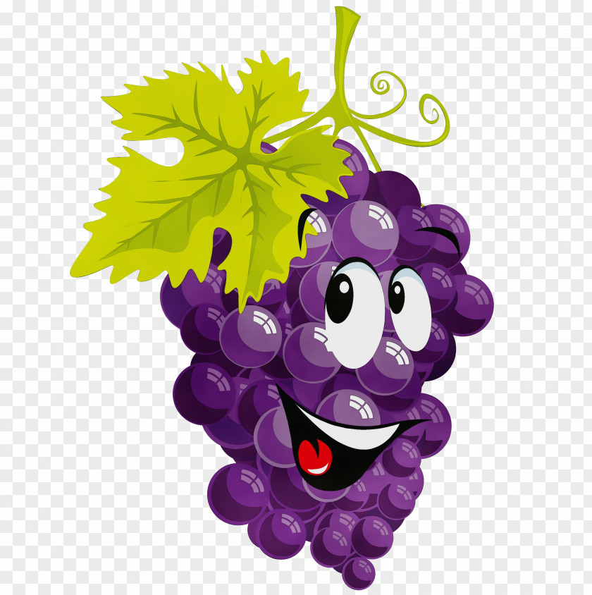 Smile Fruit Grape Grapevine Family Purple Violet Vitis PNG