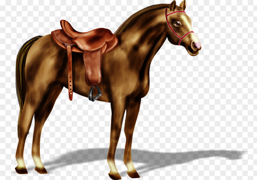 Standing Horse Saddle PNG