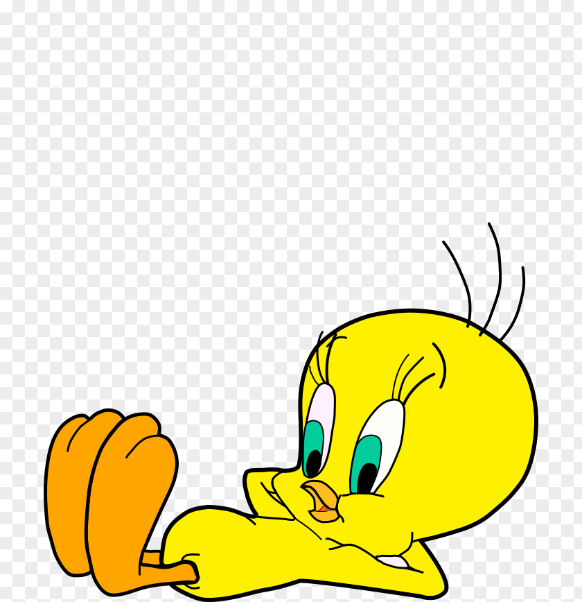 Tweety Beak Anatidae Water Bird Clip Art PNG