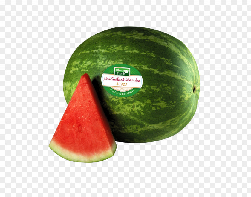 Watermelon Fruit Food PNG