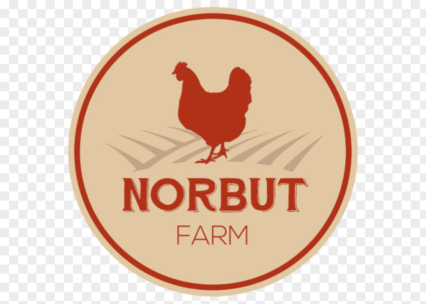 Chicken As Food Rooster Vector Graphics Norbut Renovations PNG