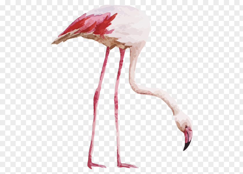 Flamingo Drawing Watercolor Painting PNG