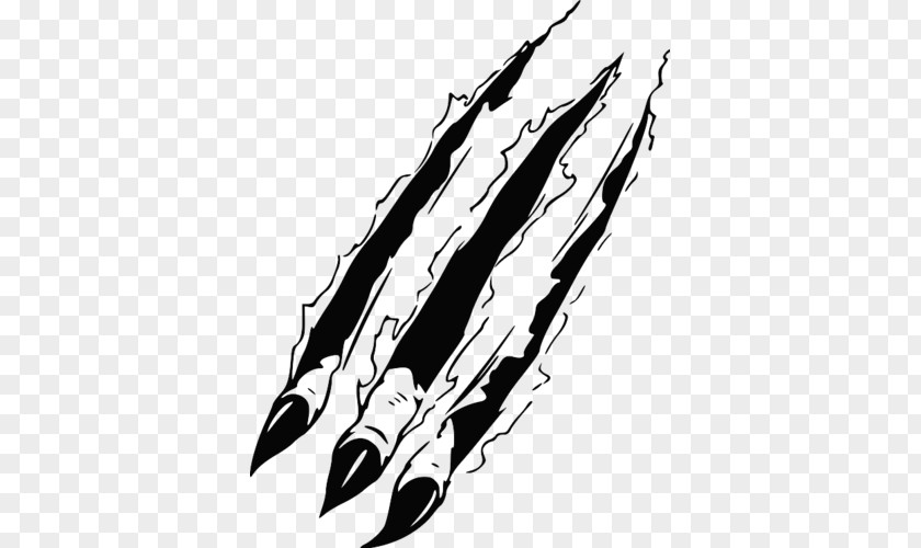 Lion Tattoo Claw PNG
