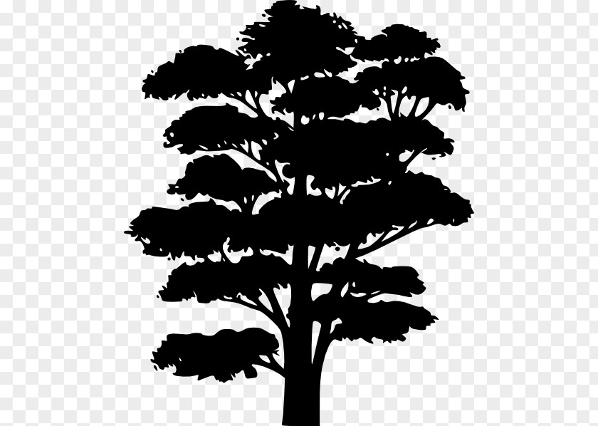 Silhouette Trees Tree Drawing Clip Art PNG