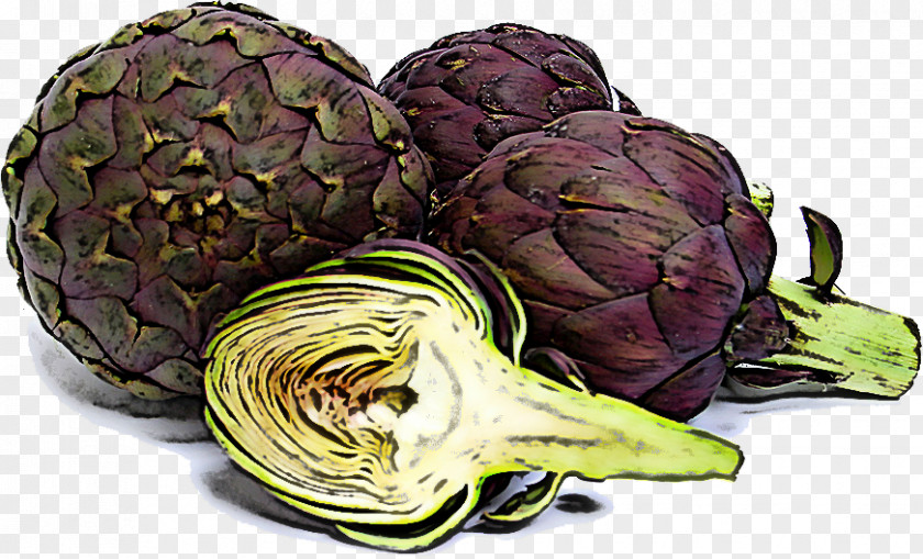 Artichoke Vegetable Food Cynara Cabbage PNG