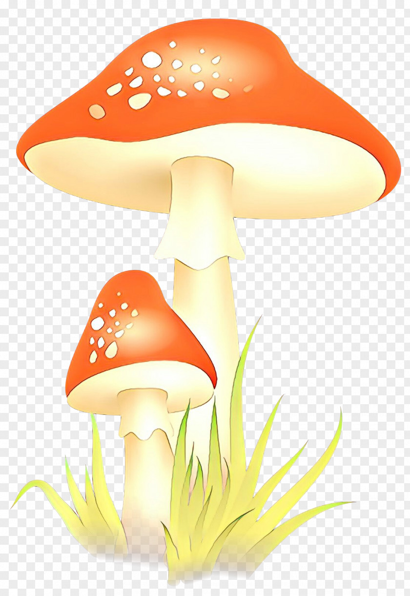 Clip Art Illustration Image Mushroom PNG