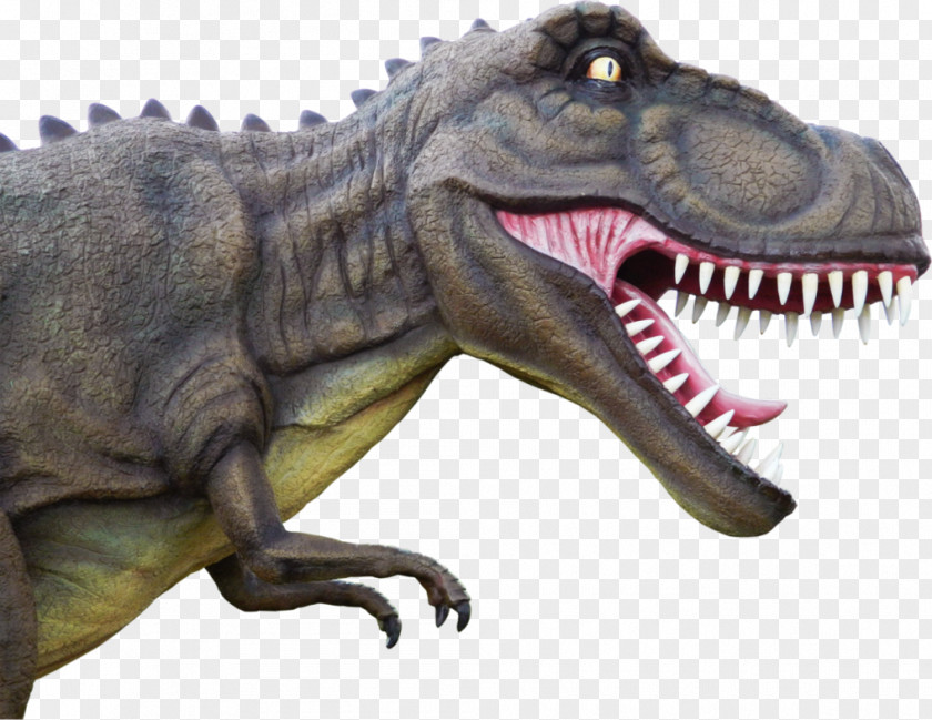 Dino Tyrannosaurus Dinosaur Digger Running PNG