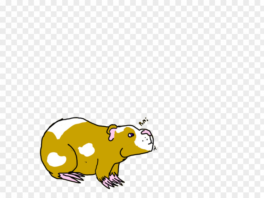 Guinea Pig Rodent Rat Art PNG