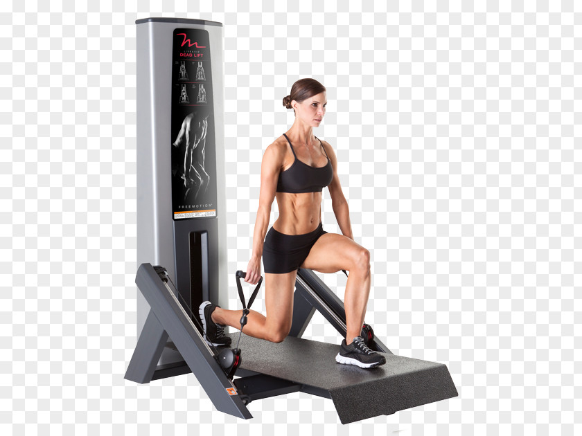 Gym Equipments Exercise Equipment Physical Fitness Strength Training Centre PNG