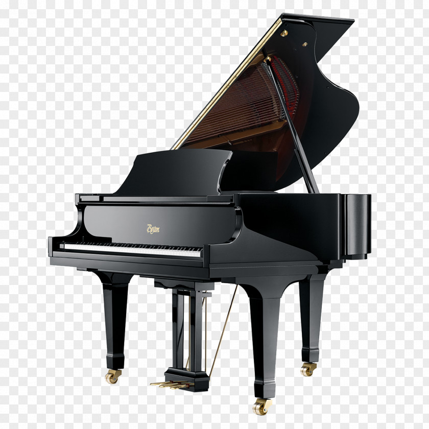 Piano Steinway & Sons Grand ボストンピアノ Young Chang PNG
