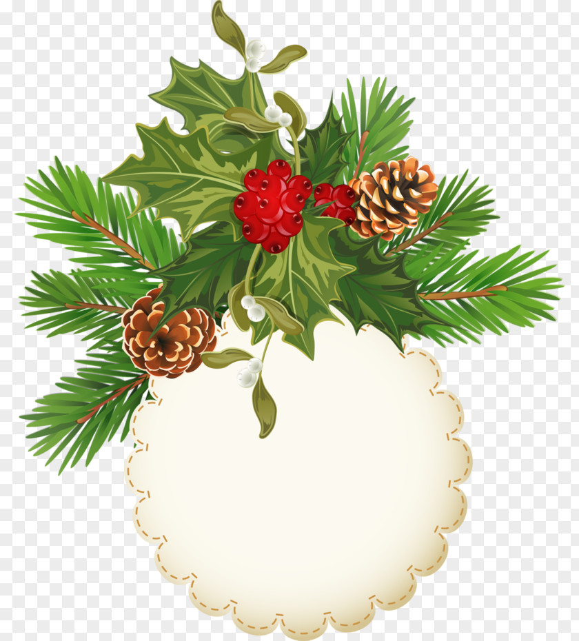 Pine Cone Frame Conifer Christmas Ornament Clip Art PNG