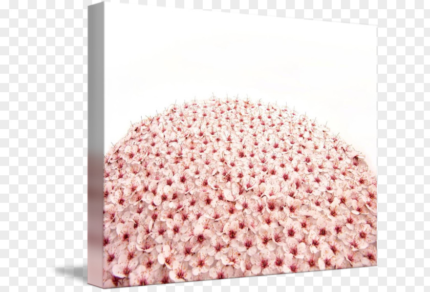 Peach Flowers Stock Photography PNG