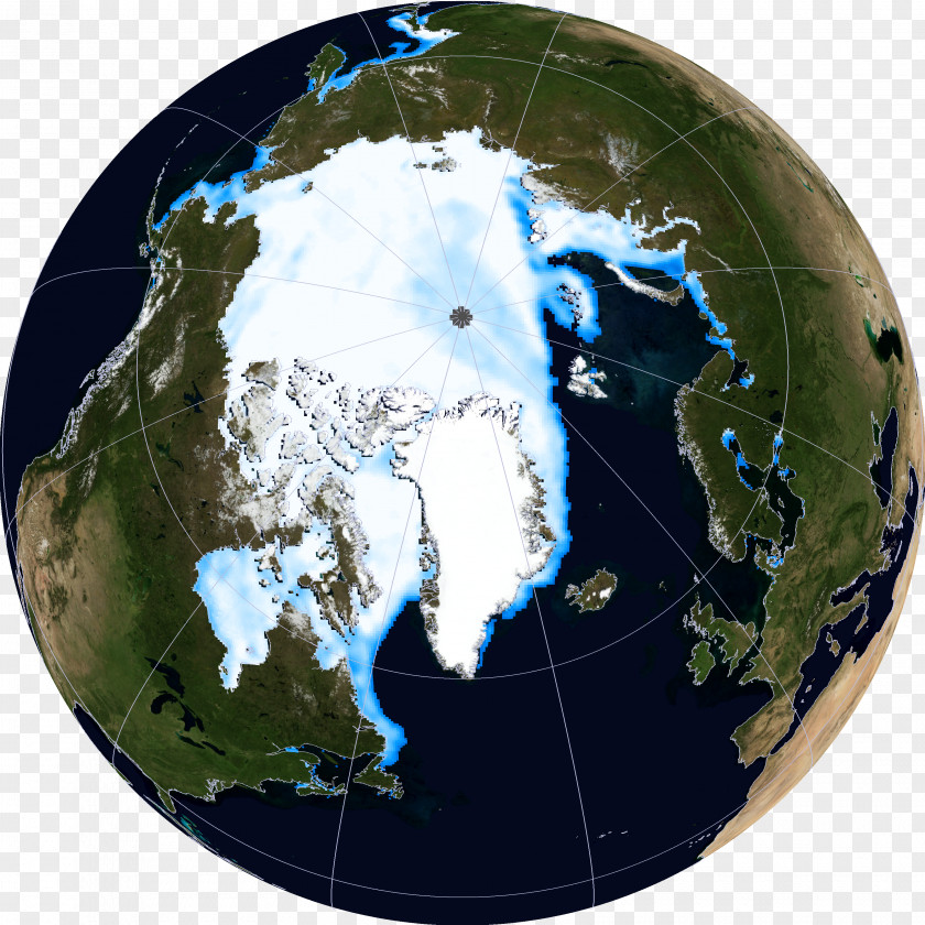 Polar Bear Arctic Ocean Beaufort Sea Ice Pack National Snow And Data Center PNG