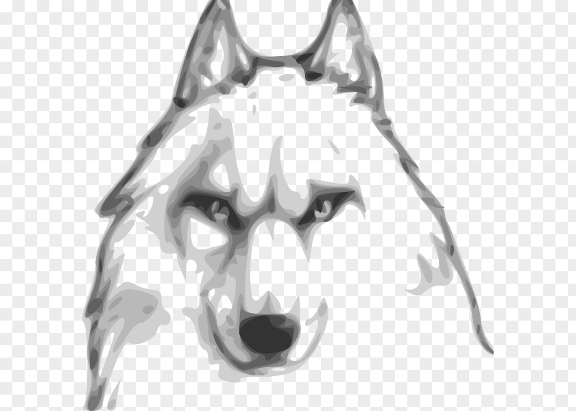 Wolf Avatar Gray Drawing Computer Software Assassin's Creed: Origins Internet Forum PNG