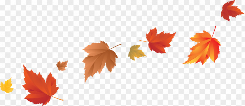 Blowing Autumn Leaf Color Clip Art PNG