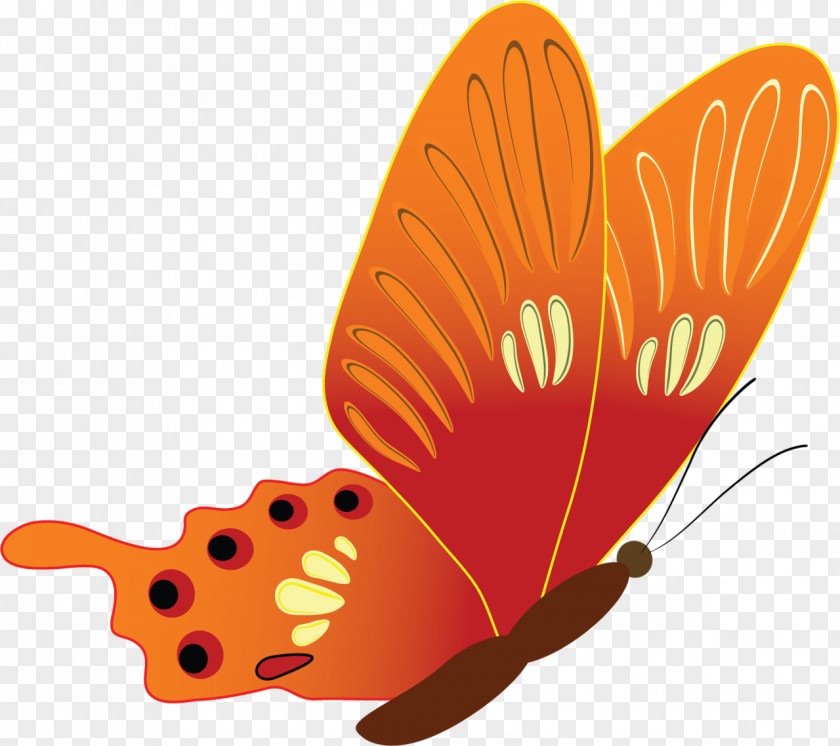 Butterfly Clip Art PNG