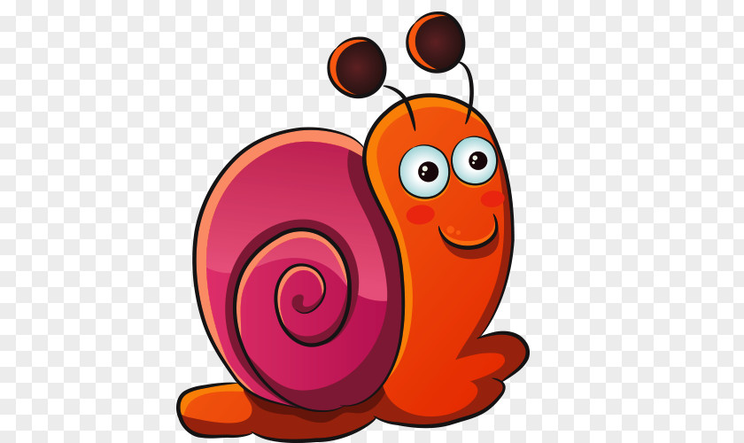 Cartoon Snail Orthogastropoda PNG